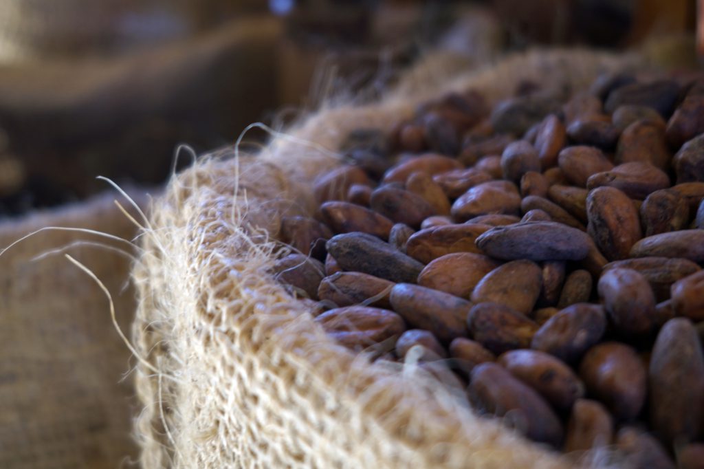 Diferencias entre el chocolate y el cacao