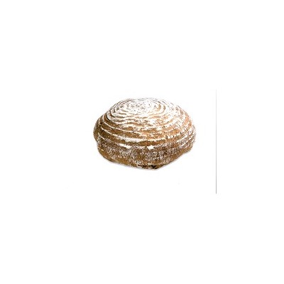 PAN DE CENTENO SOCALCOS PANIDOR 500 grs. C/9 Uds. PAN DE CENTENO SOCALCOS PANIDOR 500 grs. C/9 Uds.