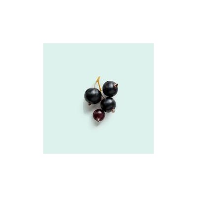 ESENCIA CONCENTRADA DE GROSELLA NEGRA CASSIS 125 ml. ESENCIA CONCENTRADA DE GROSELLA NEGRA CASSIS 125 ml.
