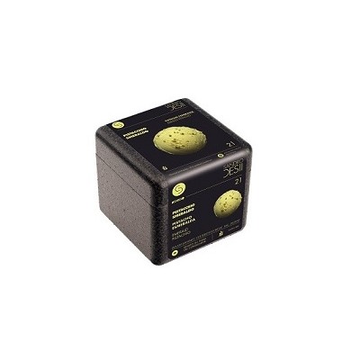 HELADO PISTACHO ESMERALDA 0,6 L.