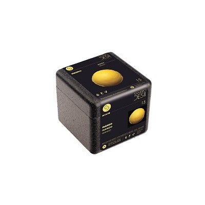 SORBETE MANGO 0,6 L.