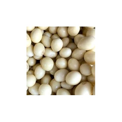 CREMA CRUJIENTE CHOCO BALLS CONGUITO CB/3 Kg