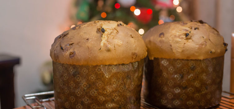 Panettone